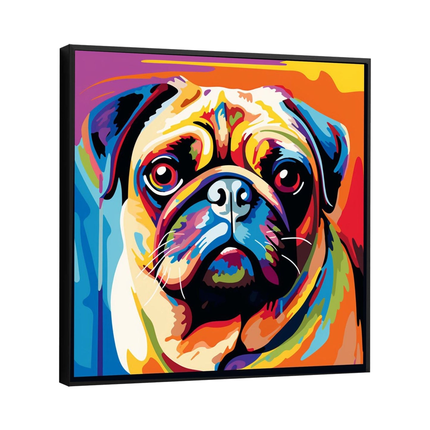 Colourful Pug