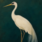 Detail of the pale crane and deep teal background