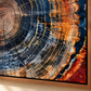 Close-up of Tree Ring abstract artwork in a warm wood frame showing texture and detail