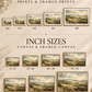 Size guide for A-series framed prints and inch-size canvases