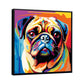 Colourful Pug